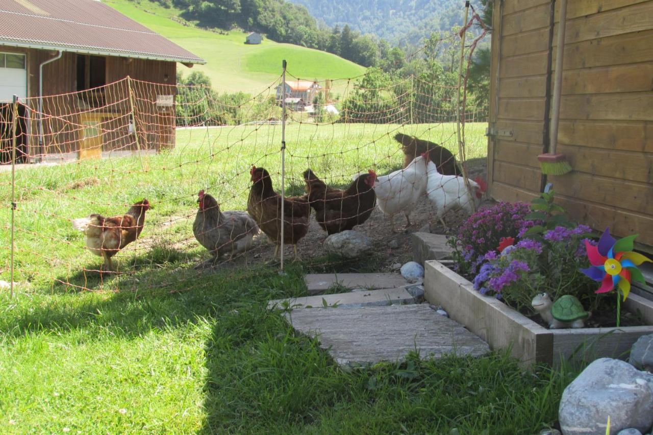 Wies * Stein (Appenzell Ausserrhoden)