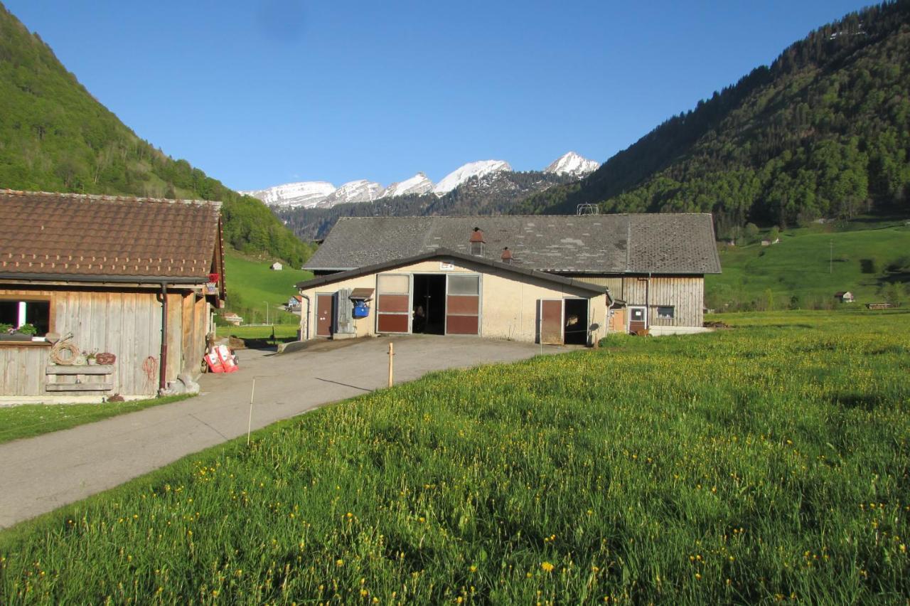 Appartement Wies